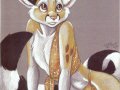 ringtail gold.jpg